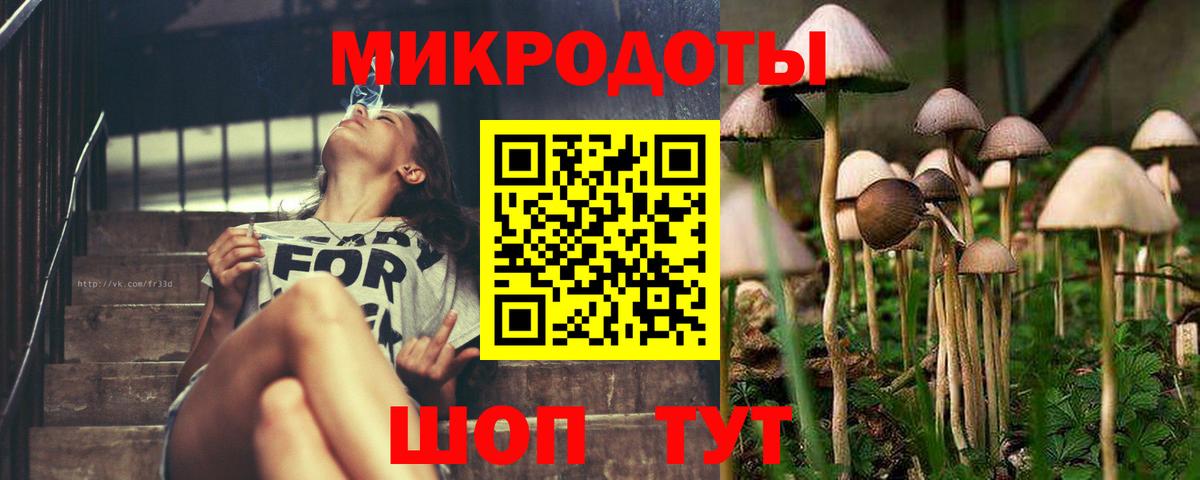 Калуга  Галлюциногенные грибы MAGIC MUSHROOMS  Вход с VPN  Галлюциногенные грибы ЛСД 